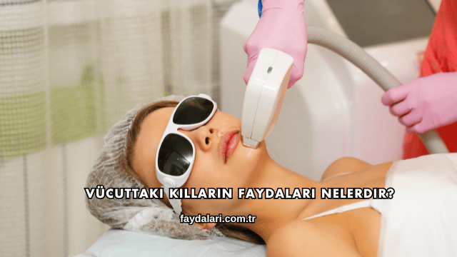 Vücuttaki Kılların Faydaları Nelerdir?
