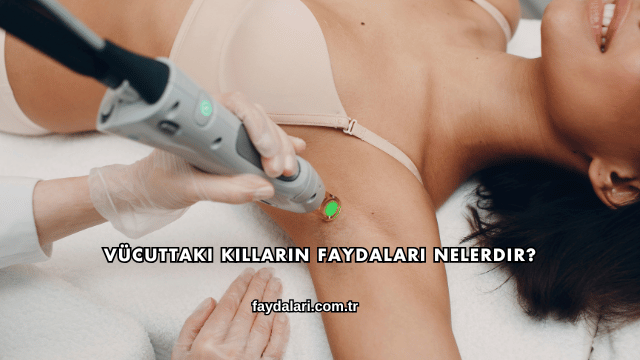 Vücuttaki Kılların Faydaları Nelerdir?