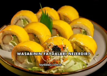 Wasabinin Faydaları Nelerdir?