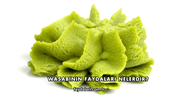 Wasabinin Faydaları Nelerdir?