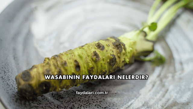 Wasabinin Faydaları Nelerdir?