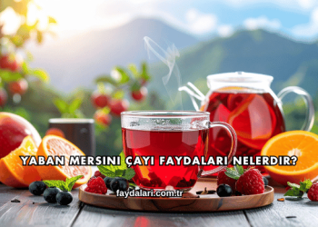 Yaban Mersini Çayı Faydaları Nelerdir?