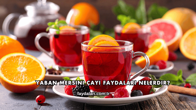 Yaban Mersini Çayı Faydaları Nelerdir?