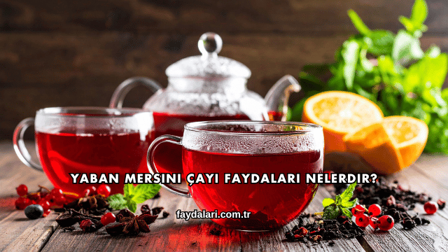 Yaban Mersini Çayı Faydaları Nelerdir?