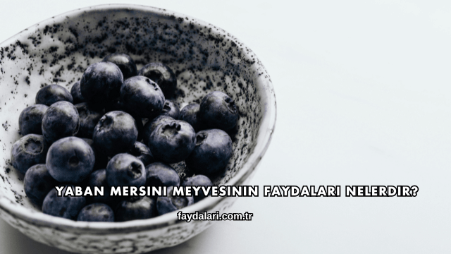 Yaban Mersini Meyvesinin Faydaları Nelerdir?