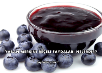 Yaban Mersini Reçeli Faydaları Nelerdir?