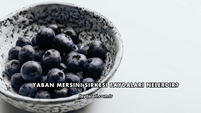 Yaban Mersini Sirkesi Faydaları Nelerdir?
