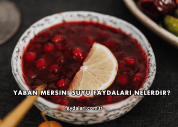 Yaban Mersini Suyu Faydaları Nelerdir?