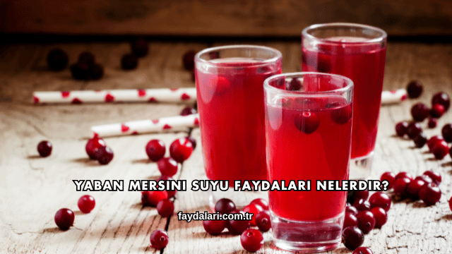Yaban Mersini Suyu Faydaları Nelerdir?