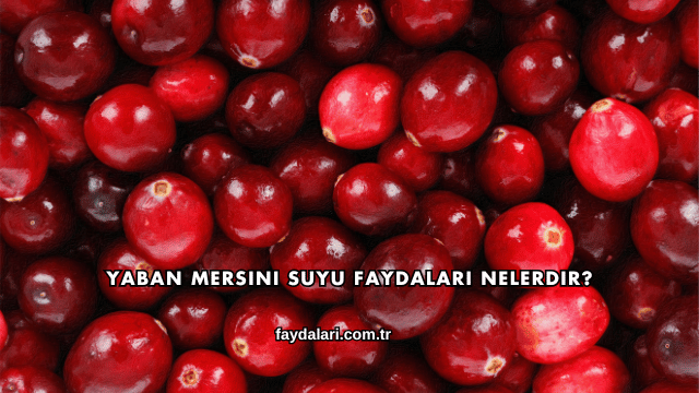 Yaban Mersini Suyu Faydaları Nelerdir?