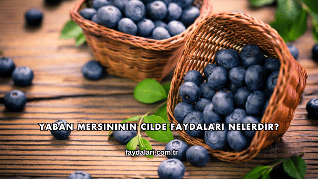 Yaban Mersininin Cilde Faydaları Nelerdir?