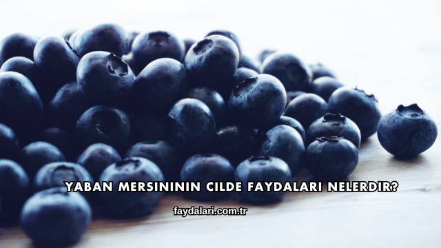 Yaban Mersininin Cilde Faydaları Nelerdir?
