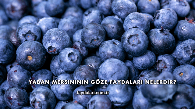 Yaban Mersininin Göze Faydaları Nelerdir?