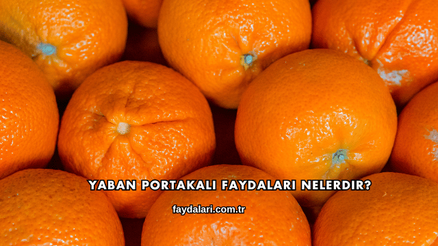 Yaban Portakalı Faydaları Nelerdir?