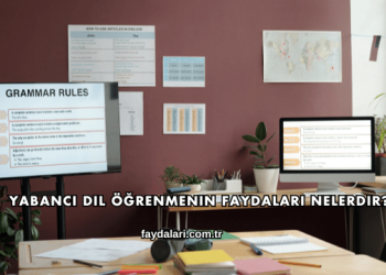 Yabancı Dil Öğrenmenin Faydaları Nelerdir?