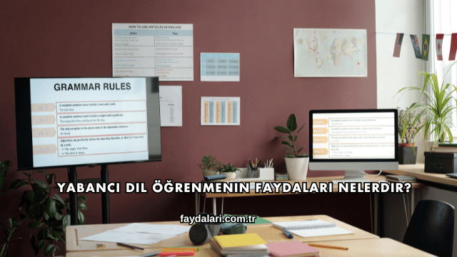 Yabancı Dil Öğrenmenin Faydaları Nelerdir?