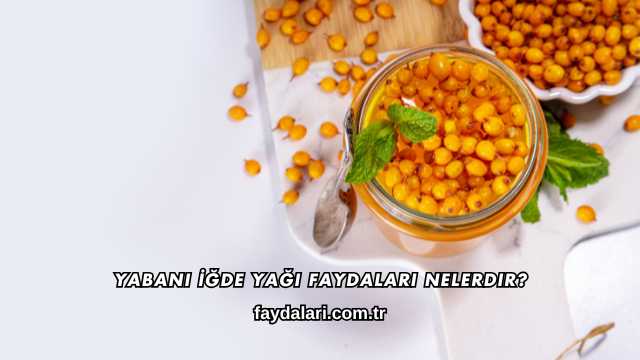Yabani İğde Yağı Faydaları Nelerdir?