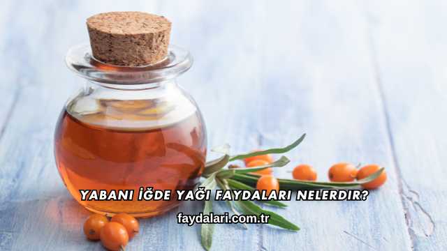 Yabani İğde Yağı Faydaları Nelerdir?