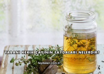 Yabani Kekik Çayının Faydaları Nelerdir?