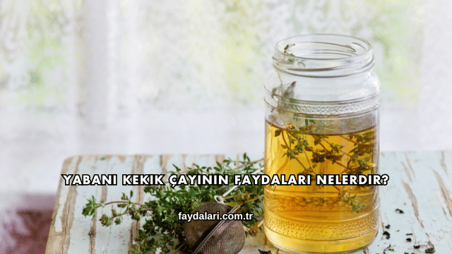 Yabani Kekik Çayının Faydaları Nelerdir?