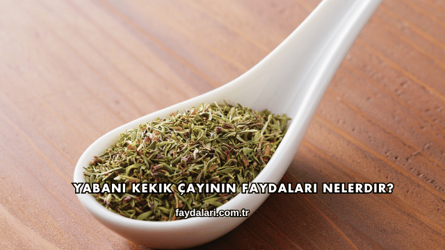 Yabani Kekik Çayının Faydaları Nelerdir?