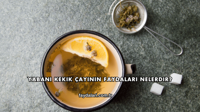 Yabani Kekik Çayının Faydaları Nelerdir?