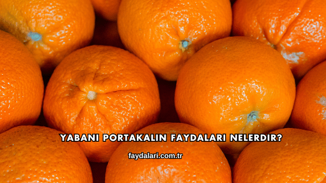 Yabani Portakalın Faydaları Nelerdir?