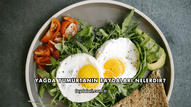 Yağda Yumurtanın Faydaları Nelerdir?
