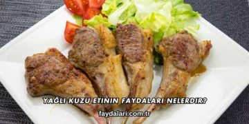 Yağlı Kuzu Etinin Faydaları Nelerdir?
