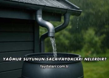 Yağmur Suyunun Saça Faydaları Nelerdir?