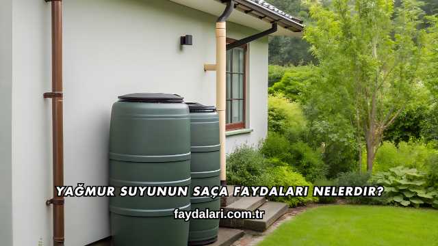 Yağmur Suyunun Saça Faydaları Nelerdir?