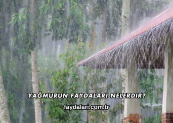 Yağmurun Faydaları Nelerdir?