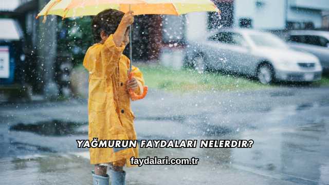 Yağmurun Faydaları Nelerdir?