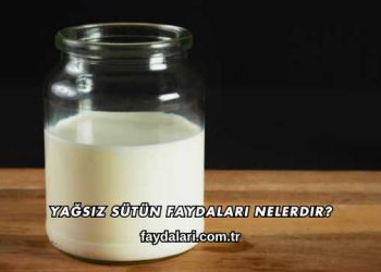 Yağsız Sütün Faydaları Nelerdir?