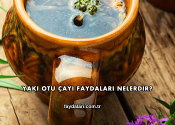 Yakı Otu Çayı Faydaları Nelerdir?
