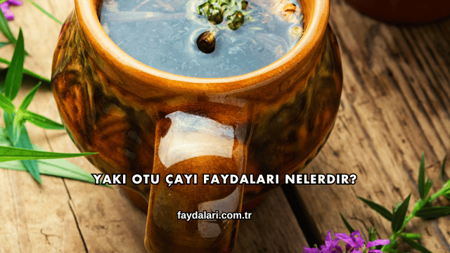 Yakı Otu Çayı Faydaları Nelerdir?