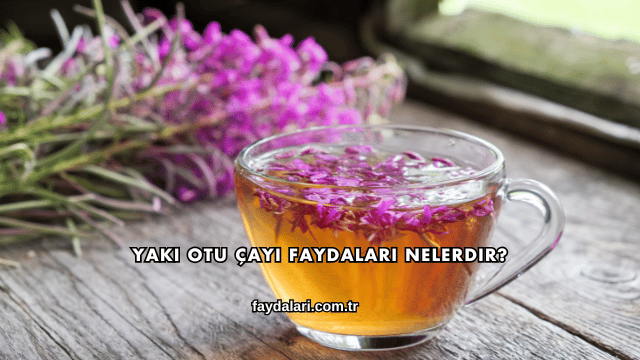 Yakı Otu Çayı Faydaları Nelerdir?