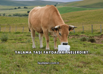 Yalama Taşı Faydaları Nelerdir?