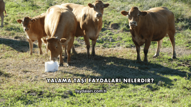 Yalama Taşı Faydaları Nelerdir?