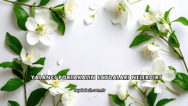 Yalancı Portakalın Faydaları Nelerdir?