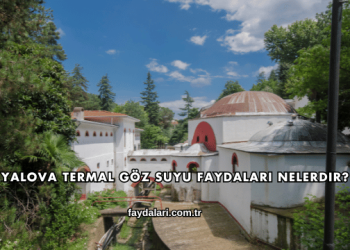 Yalova Termal Göz Suyu Faydaları Nelerdir?