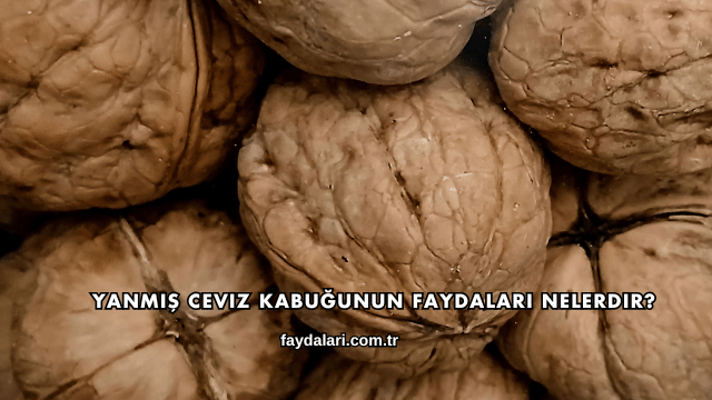 Yanmış Ceviz Kabuğunun Faydaları Nelerdir?