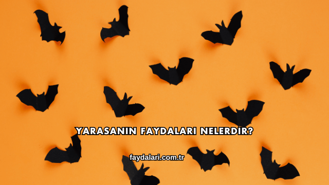 Yarasanın Faydaları Nelerdir?
