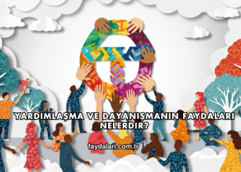 Yardımlaşma ve Dayanışmanın Faydaları Nelerdir?