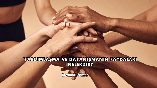 Yardımlaşma ve Dayanışmanın Faydaları Nelerdir?