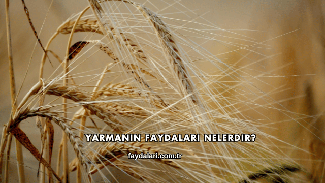 Yarmanın Faydaları Nelerdir?