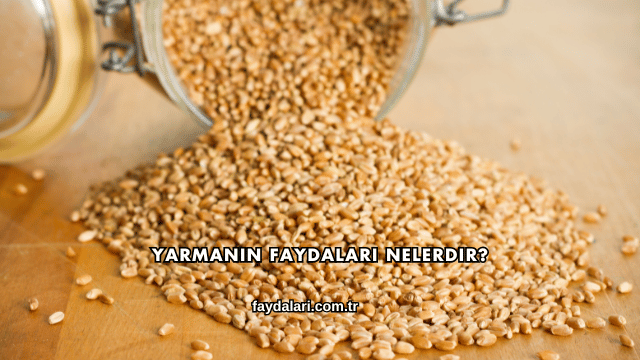 Yarmanın Faydaları Nelerdir?