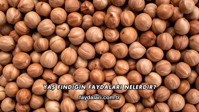 Yaş Fındığın Faydaları Nelerdir?