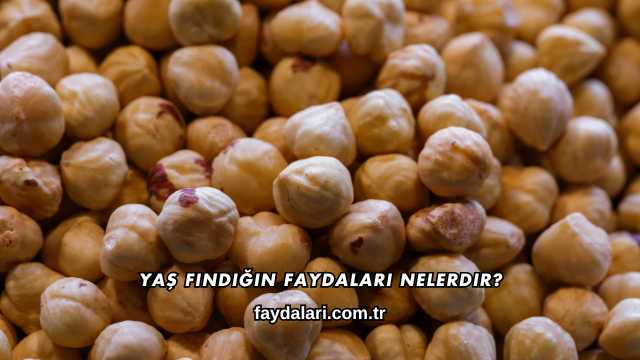 Yaş Fındığın Faydaları Nelerdir?