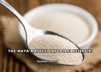 Yaş Maya Maskesi Faydaları Nelerdir?